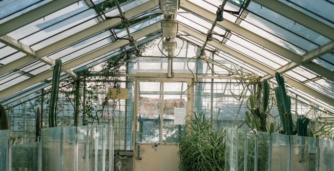 Edwardian Conservatory in Sutton